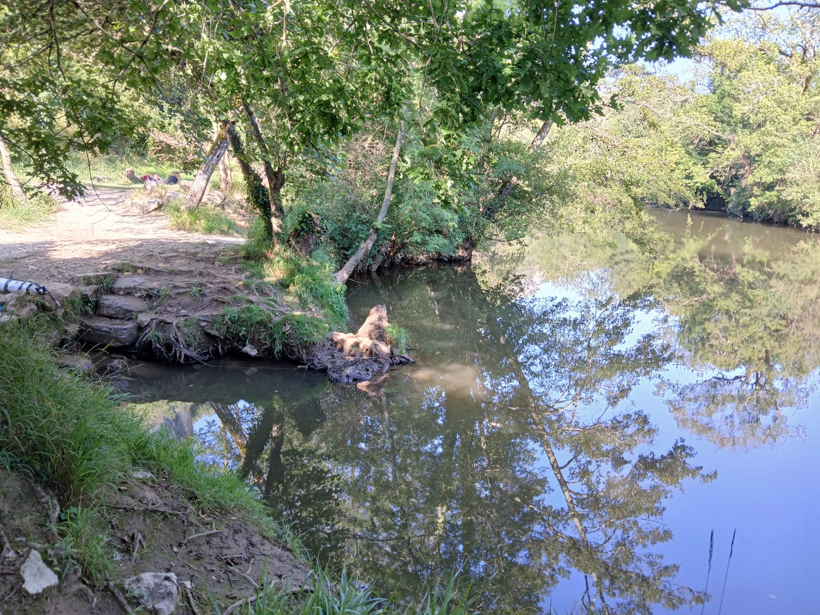 Émergence du Ressel - photo du site de plongée